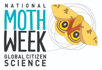 national moth week